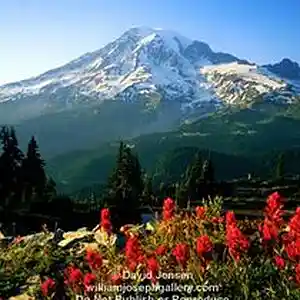 Picture for song 'Alpine Meadows' by artist 'Bryan Knight aka Knight Flight'
