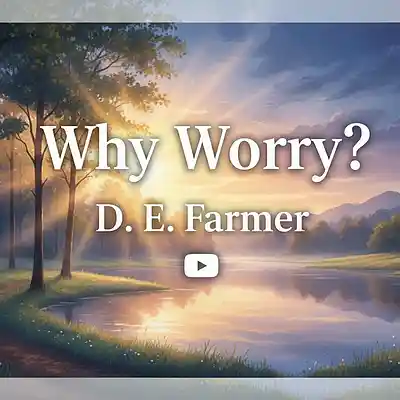 Picture for song 'Why Worry?' by artist 'D E Farmer'