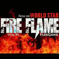 Picture for song 'Fire Flame' by artist 'FleeGang'