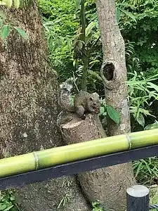 Picture for song 'Believe_BPM75' by artist 'Luka Zeedo'