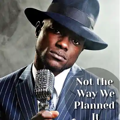 Picture for song 'Not the Way We Planned it' by artist 'Metroplicity Records'