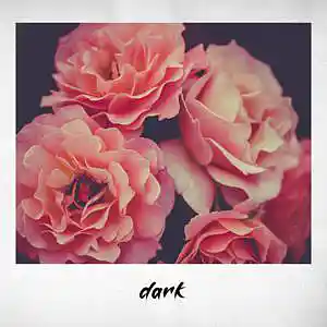 Picture for song 'Dark' by artist 'No Mic'