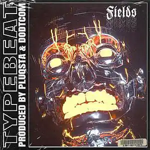 Picture for song 'FIELDS (BUY 1 GET 1 FREE)' by artist 'PLUQSTA'
