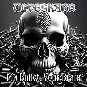 Picture for song 'MY BULLET, YOUR BRAIN' by artist 'Ulveskare'