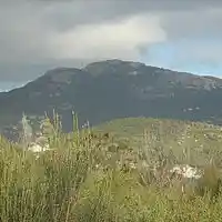 Picture for song 'Landscape With Ravens' by artist 'andromeda man'