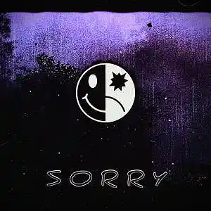 Picture for song '" S O R R Y "' by artist 'B L A C K W 3 L L'