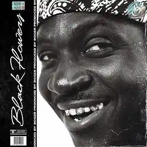 Picture for song 'Black Flowers (Pusha T Type Beat)' by artist 'BOGER'