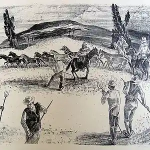 Picture for song 'TRILLA' by artist 'Desibell And The Raiders Of The Lost Quark'