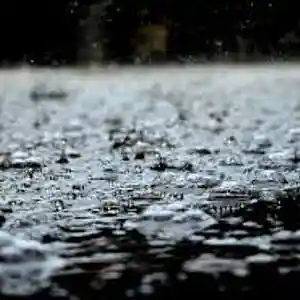 Picture for song 'Raining in the Trap' by artist 'Heartbeat'