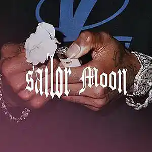Picture for song 'Sailor Moon (Prod. by MoeezandSoulAli, Alex)' by artist 'MoeezandSoulAli'