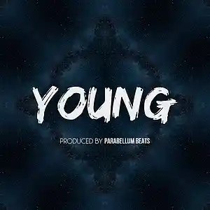 Picture for song 'Young' by artist 'Parabellum Beats'