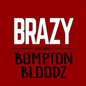 Picture for song 'FREE Senz Beatz - Brazy(YG/DJ Mustard Type Beat)' by artist 'Senz Beatz'