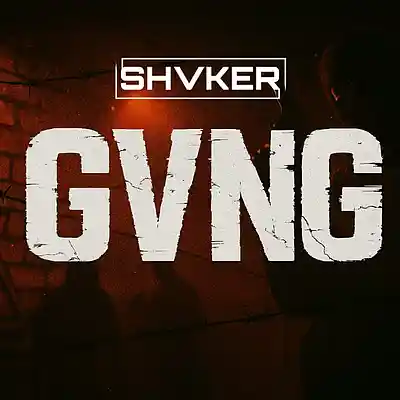 Picture for song 'GVNG' by artist 'shvker beats'