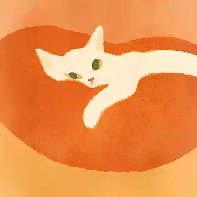 Picture for song 'UPSIDE DOWN LIFE - indie pop' by artist 'indiebyFar'