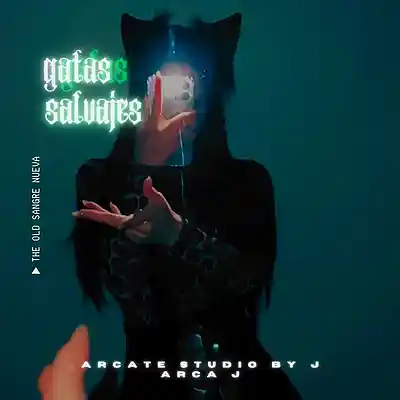 Picture for song 'GATAS SALVAJES' by artist 'Arcate Studio by J'