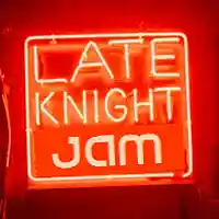 Picture for song 'Late Knight Jam' by artist 'BASSOTRONICS'