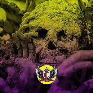 Picture for song 'PANDEMONIUN (Trap Metal Type Beat 2021)' by artist 'Chorderline'