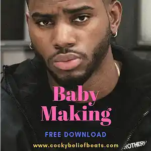 Picture for song 'Baby Making' by artist 'Cocky Belief Beats'