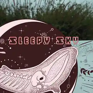 Picture for song 'Sleepy Sky- Instrumental Hip Hop Beat' by artist 'Gnom Records'