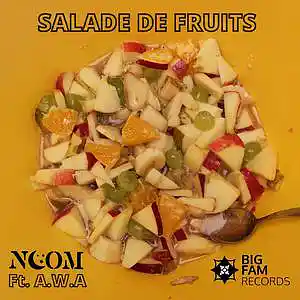 Picture for song 'Salade de fruits' by artist 'Noom'