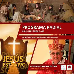 Picture for song '5to Domingo de Pascua -15 de mayo' by artist 'Producciones Vandor'