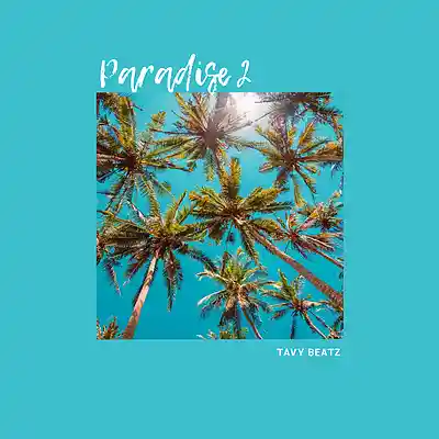 Picture for song 'Paradise 2' by artist 'TAVY BEATZ'