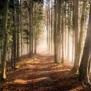 Picture for song 'SLid' by artist 'Coastal Tropics ENT'