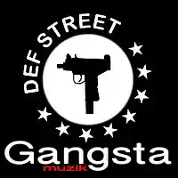 Picture for song 'SWAYH (Instrumental)' by artist 'Def Street'