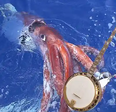 Picture for song 'This Is The Second Song' by artist 'Follow A Wacky Moose'