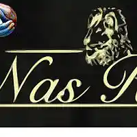 Picture for song 'Le Blues du Systeme' by artist 'NSK et Nas R'