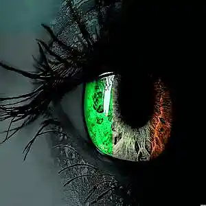 Picture for song 'The Men Of 1916' by artist 'Raven Productions'