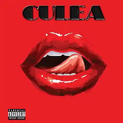 Picture for song 'BEAT RASPE - CULEA' by artist 'Jas Beat'