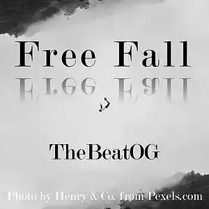Picture for song 'Free Fall' by artist 'TheBeatOG'
