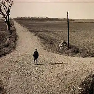 Picture for song 'Crossroads' by artist 'Tony Cunha'