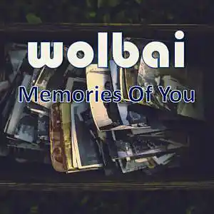 Picture for song 'Memories Of You (Original)' by artist 'Wolbai - Music - Collaborations'