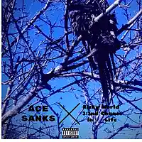 Picture for song 'Opened' by artist 'Ace Sanks'