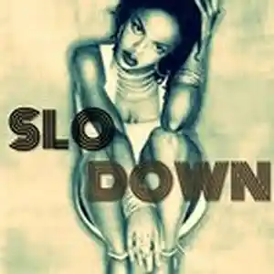 Picture for song 'Slo Down' by artist 'Adrian Gabriel'