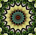 Picture for song 'Paths And Reflections' by artist 'Alexandre Falcao'