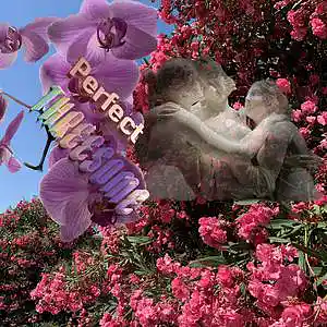 Picture for song 'Threesome&Instruments' by artist 'Antonio Rotunda'