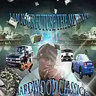 Picture for song 'Damage Control' by artist 'Hardwood Classick'