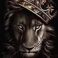 Picture for song 'Im a King' by artist 'King Magee'