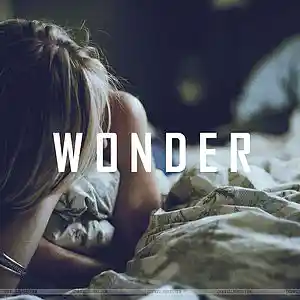 Picture for song 'Wonder - (Buy 1 get 2 Free)' by artist 'KMBeatsOfficial'