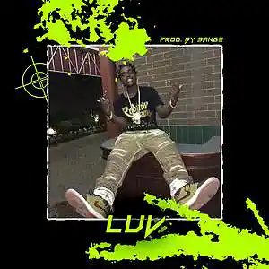 Picture for song 'Kodak Black+Lil Tecca+Lil Mosey Type Beat - LUV' by artist 'sange beats'