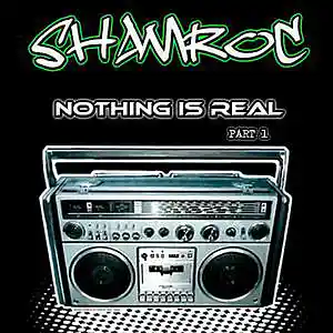 Picture for song 'Progress (sample)' by artist 'Shamroc'