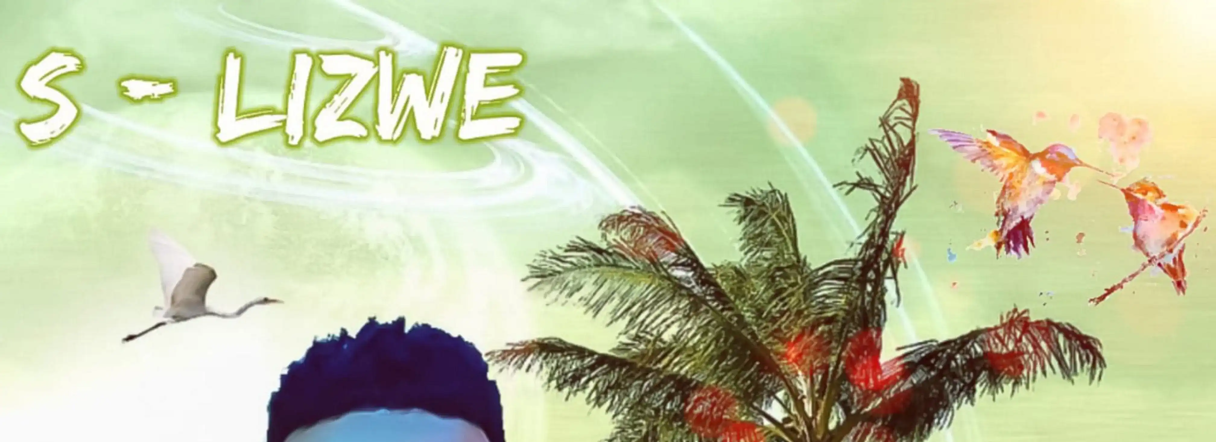 cover pic