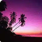 Picture for song 'Sunset in Miami | FREE DL' by artist 'Da Supplier'