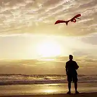 Picture for song 'Like A Kite In The Sky' by artist 'DHW'