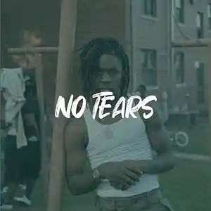 Picture for song 'Slatt Zy x Luh Kel Type Beat - "NO TEARS"' by artist 'ErieBeats'