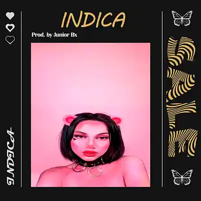 Picture for song 'INDICA' by artist 'Junior on the beat'