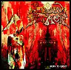 Picture for song 'dead heros' by artist 'lead farmer'